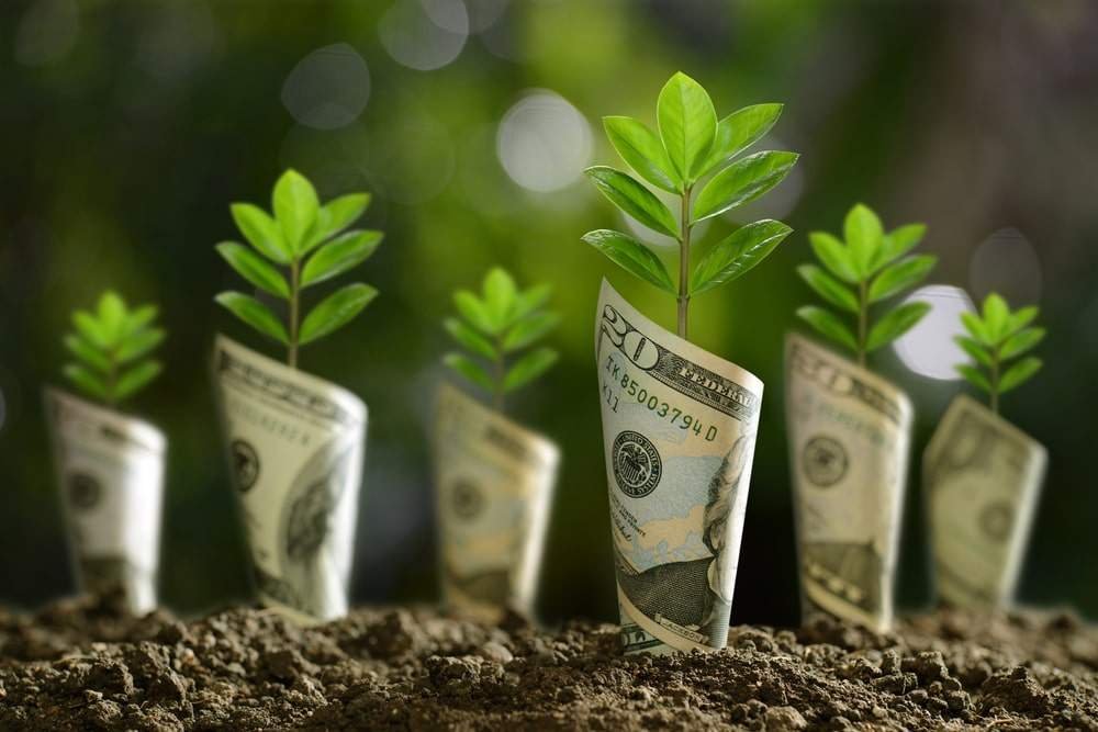 Investing in the local business